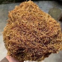 云南玉溪烟丝